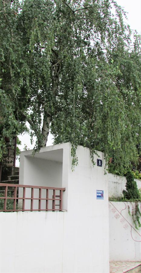 Apartment B&S Belgrade Exterior photo